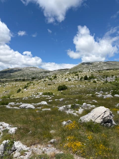 Kamešnica 6