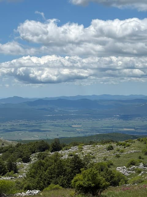 Panorama 10