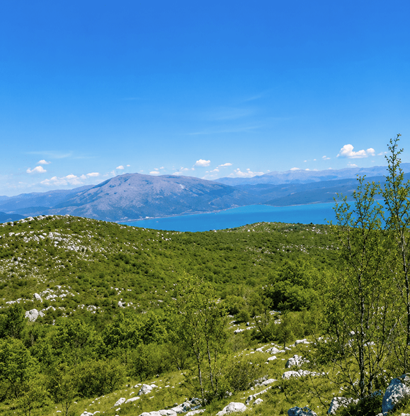 Panorama 5